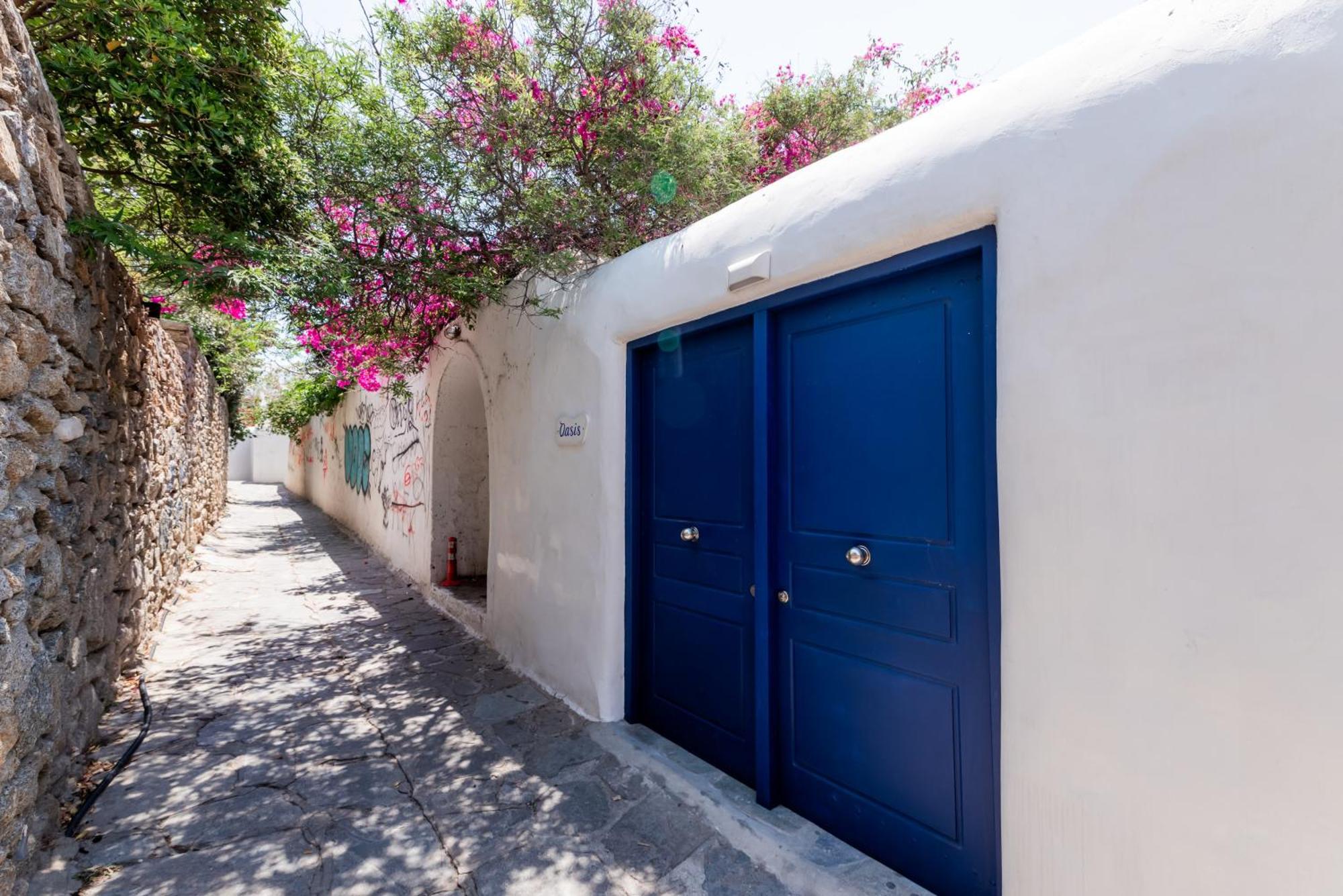 Olive Tree & Capari Mykonos Town Homes & Apartments With Pool! Екстер'єр фото