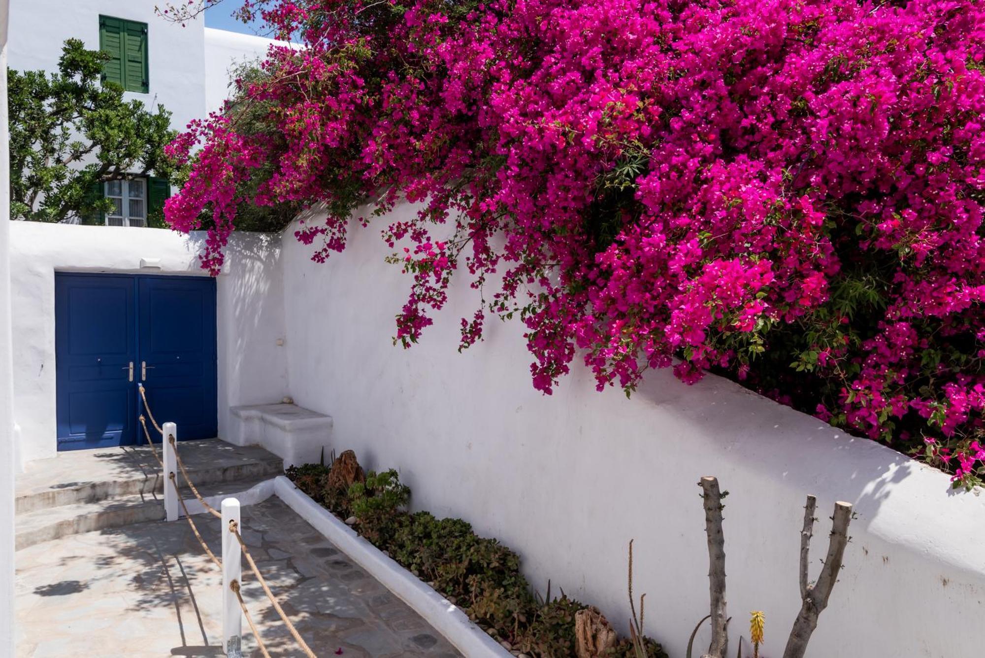 Olive Tree & Capari Mykonos Town Homes & Apartments With Pool! Екстер'єр фото